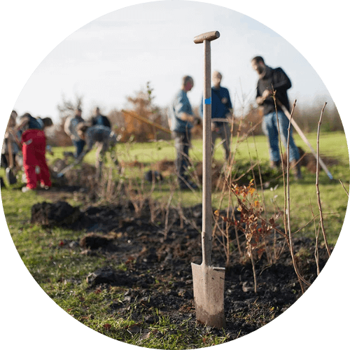 Action RSE avec planteurs volontaire, groupe qui participe à la plantation d'arbres